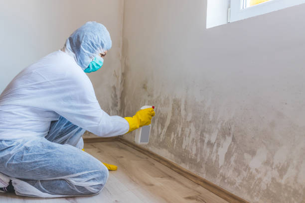 Mold Remediation specialist working in Swarthmore